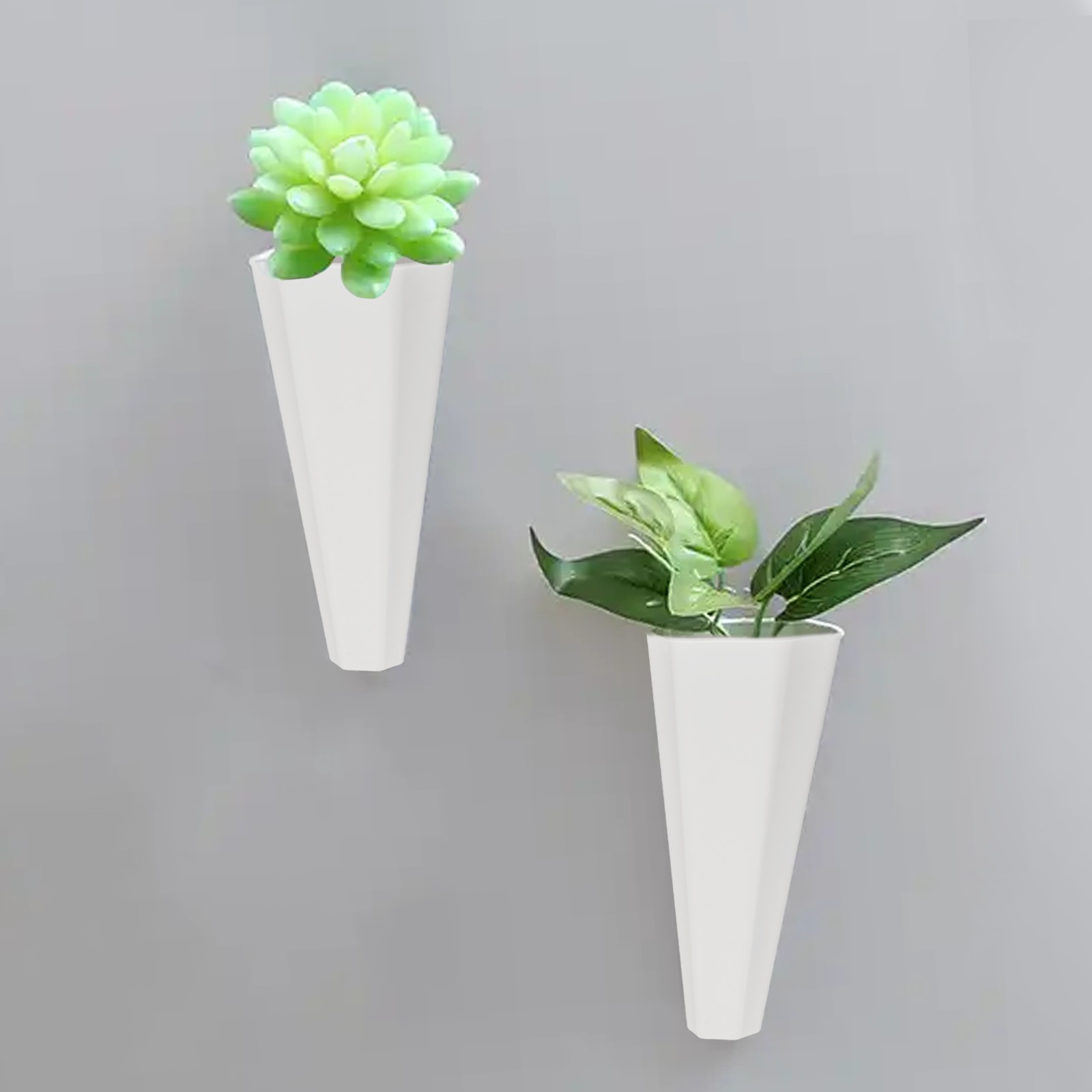 1 Pcs Plastic Wall Hanging Flo - Bonsai Vertical Garden review and price