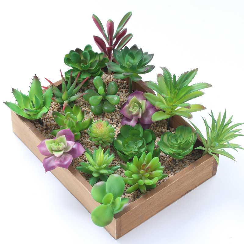 2021 Artificial Succulents Pla - Bonsai Garden Ideas review and price