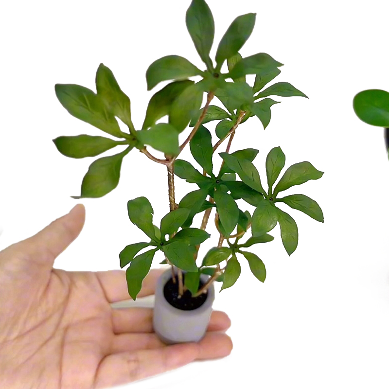 1:6 Dollhouse Miniature Potted - Bonsai Garden Ideas review and price