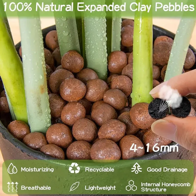 500g/packGarden Hydroponic Exp - Sphagnum Moss Bag review and price