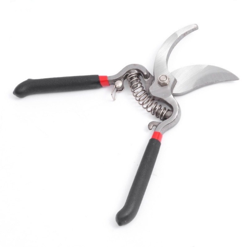 Pruner Garden Scissors Graftin - Bonsai Garden Knife review and price