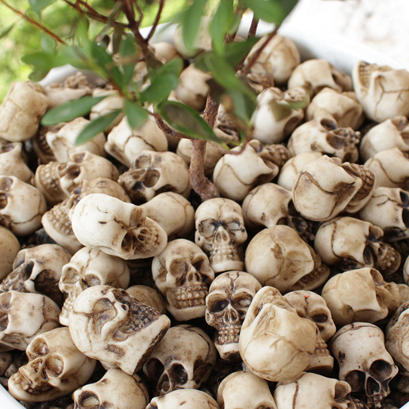 ● 20pcs Mini Skulls Halloween  - Bonsai Garden Ideas review and price