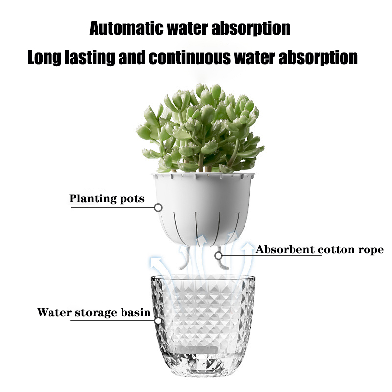 Self Watering Flowerpot Automa - Sphagnum Moss Bag review and price