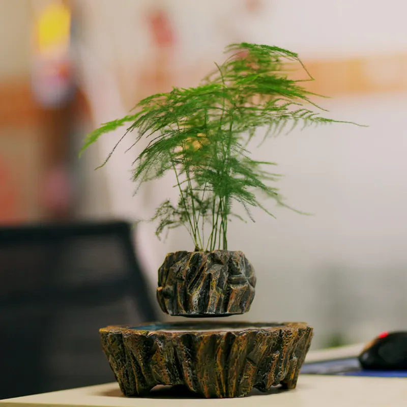 for HCNT Electric Magnetic Lev - Bonsai Vertical Garden review and price