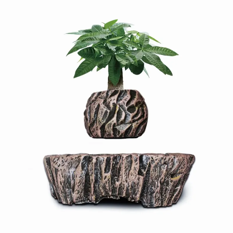 for HCNT Electric Magnetic Lev - Bonsai Vertical Garden review and price