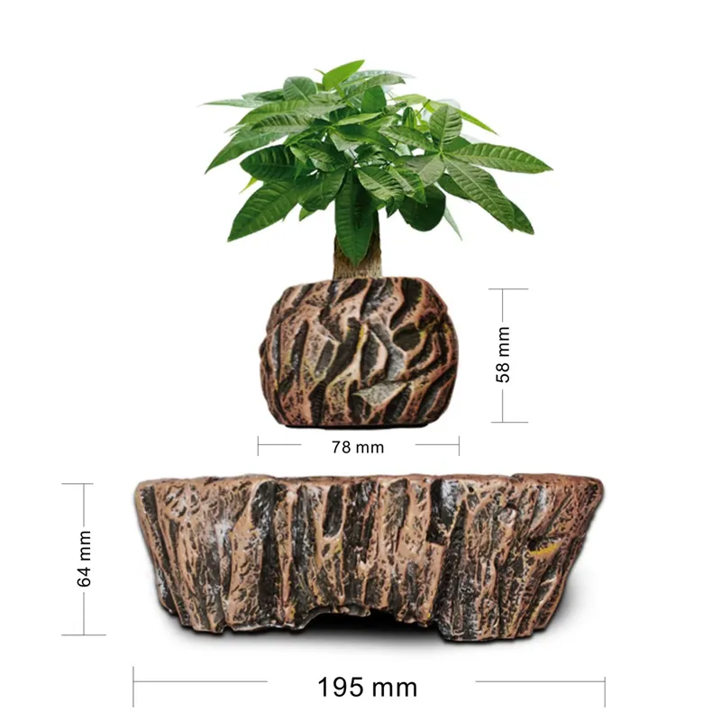 for HCNT Electric Magnetic Lev - Bonsai Vertical Garden review and price