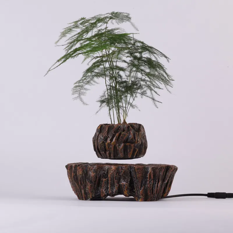 for HCNT Electric Magnetic Lev - Bonsai Vertical Garden review and price