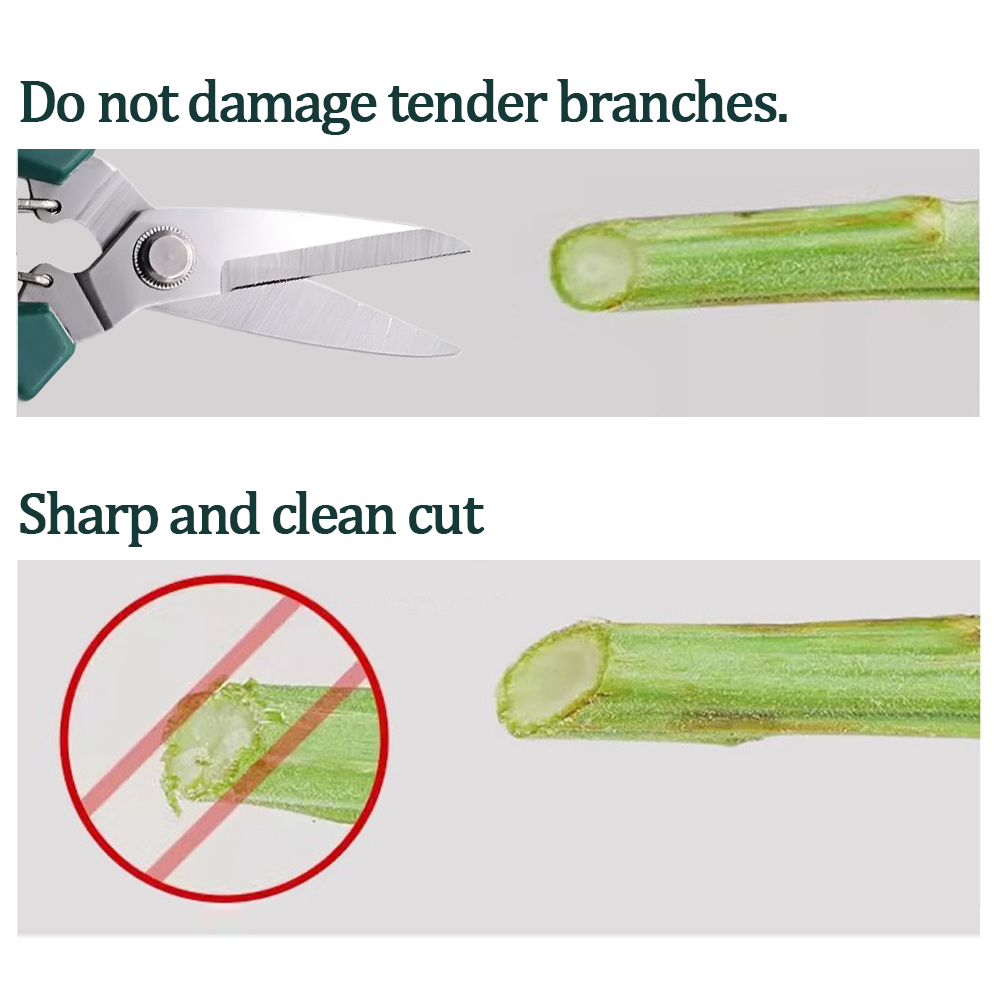 190mm Garden Pruning Shears fo - Bonsai Garden Knife review and price