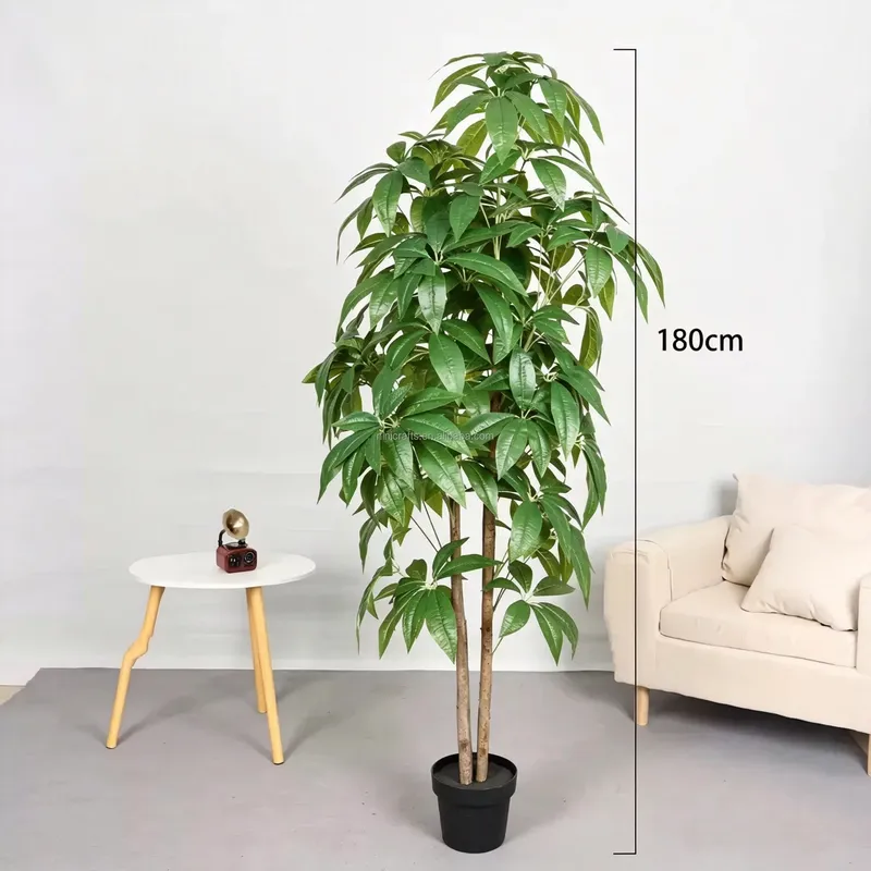 Hot Sale Nordic Style Indoor D - Bonsai Garden For Sale review and price