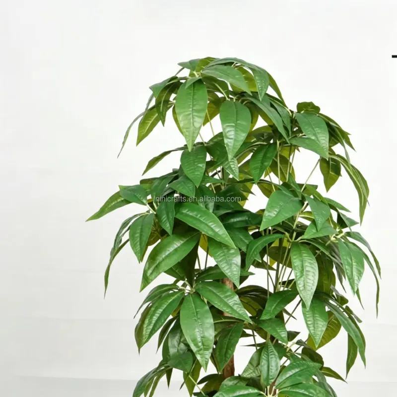 Hot Sale Nordic Style Indoor D - Bonsai Garden For Sale review and price