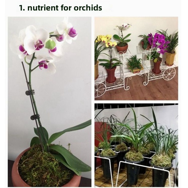Dry Sphagnum Moss Orchid Succu - Sphagnum Moss Bag review and price
