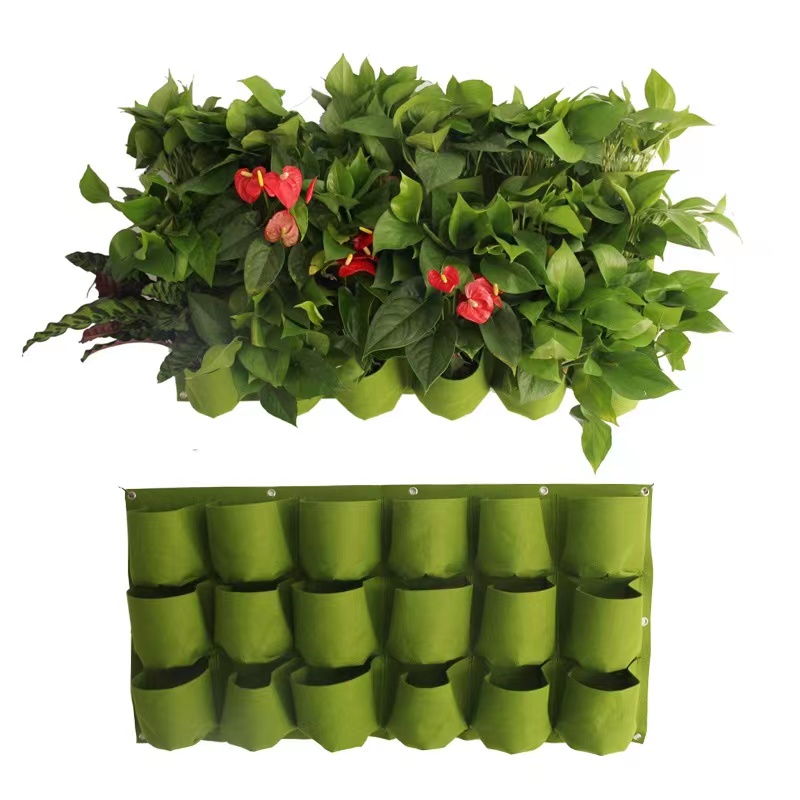 Green Wall Hanging Planting Ba - Bonsai Vertical Garden review and price