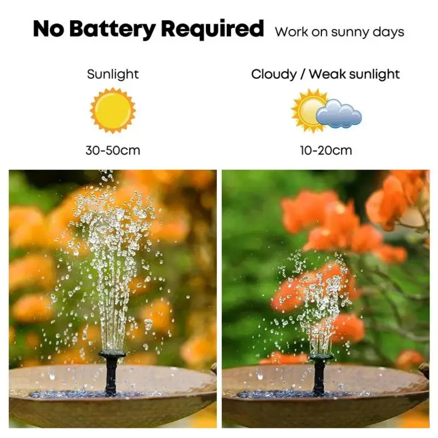 Solar Fountain Pump for Bird B - Bonsai Garden Fountain review and price