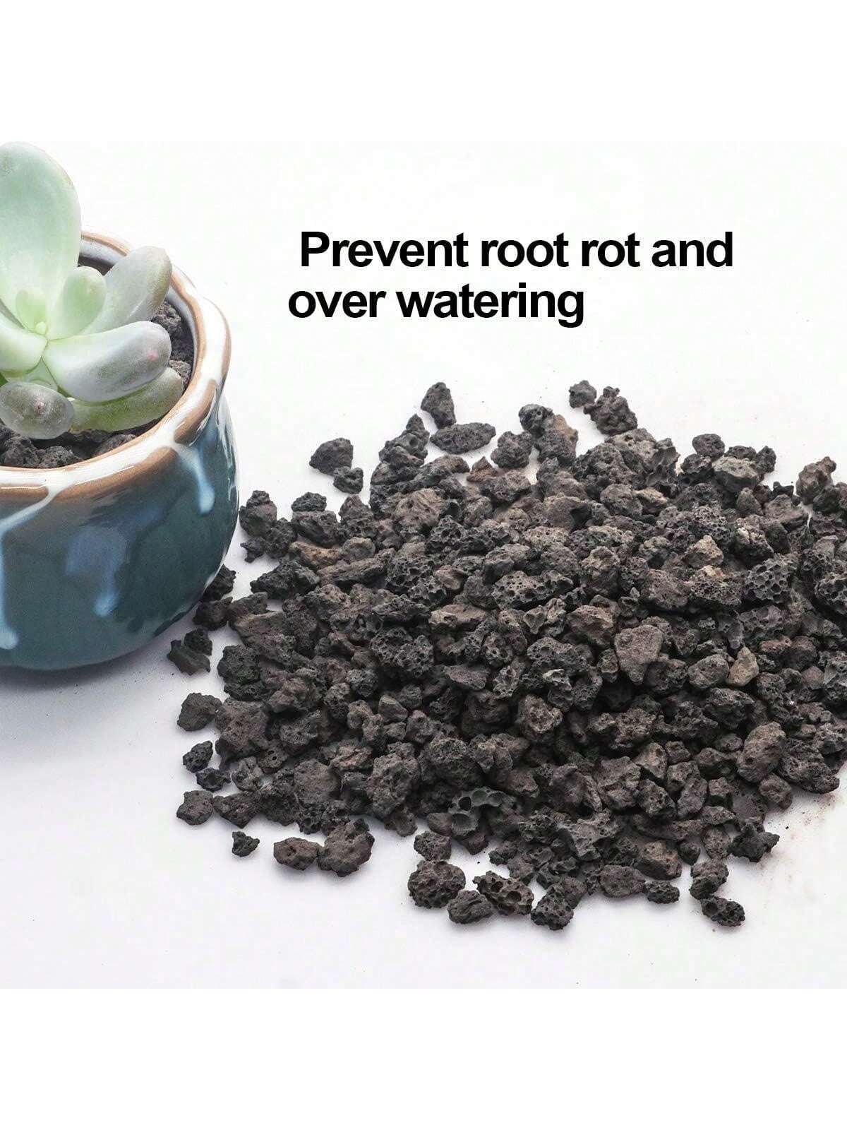 Black Horticultural Lava Rock  - Sphagnum Moss Bag review and price