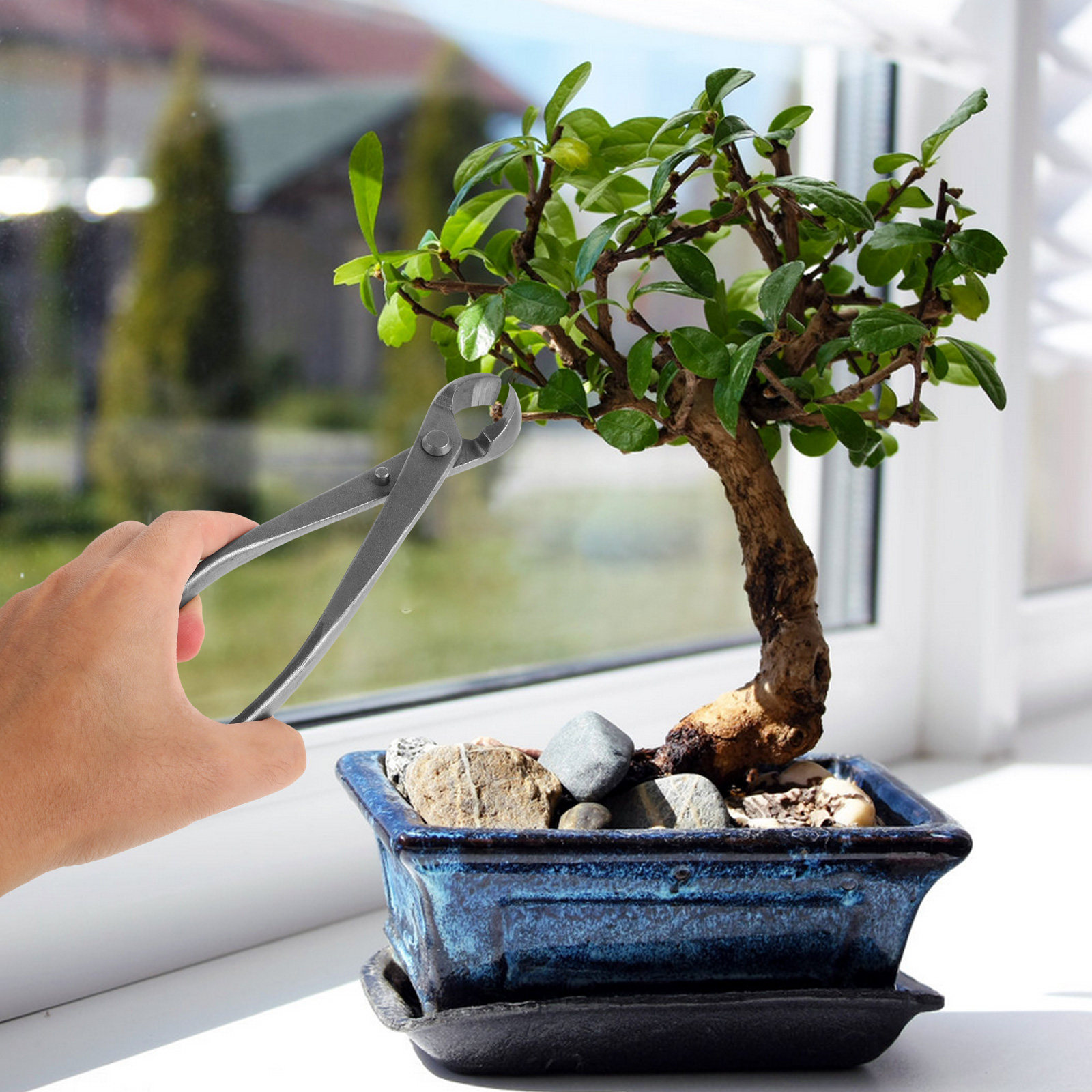 Carbon Steel Hedge Shears for  - Bonsai Garden Knife review and price