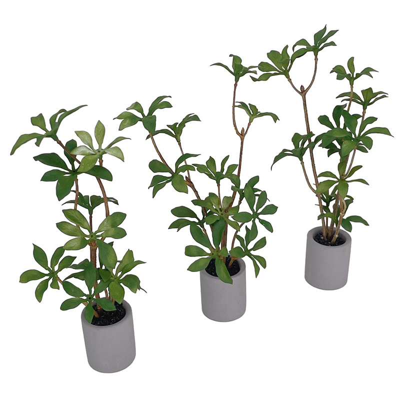 1:6 Dollhouse Miniature Potted - Bonsai Garden Ideas review and price