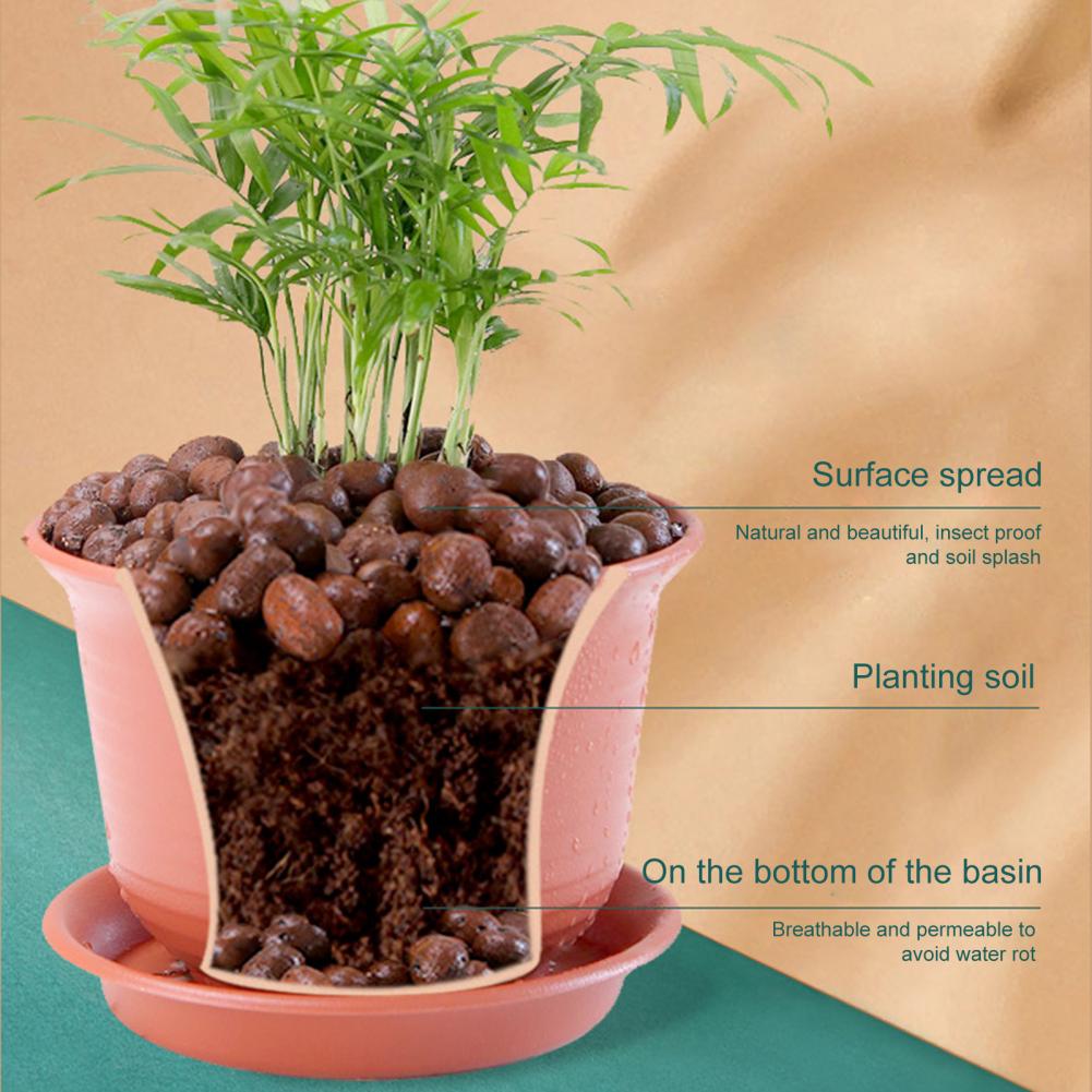 3.3 Lbs Clay Pebbles for Plant - Sphagnum Moss Bag review and price