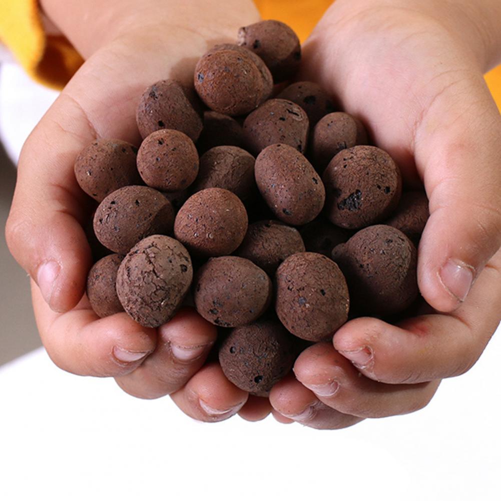 3.3 Lbs Clay Pebbles for Plant - Sphagnum Moss Bag review and price