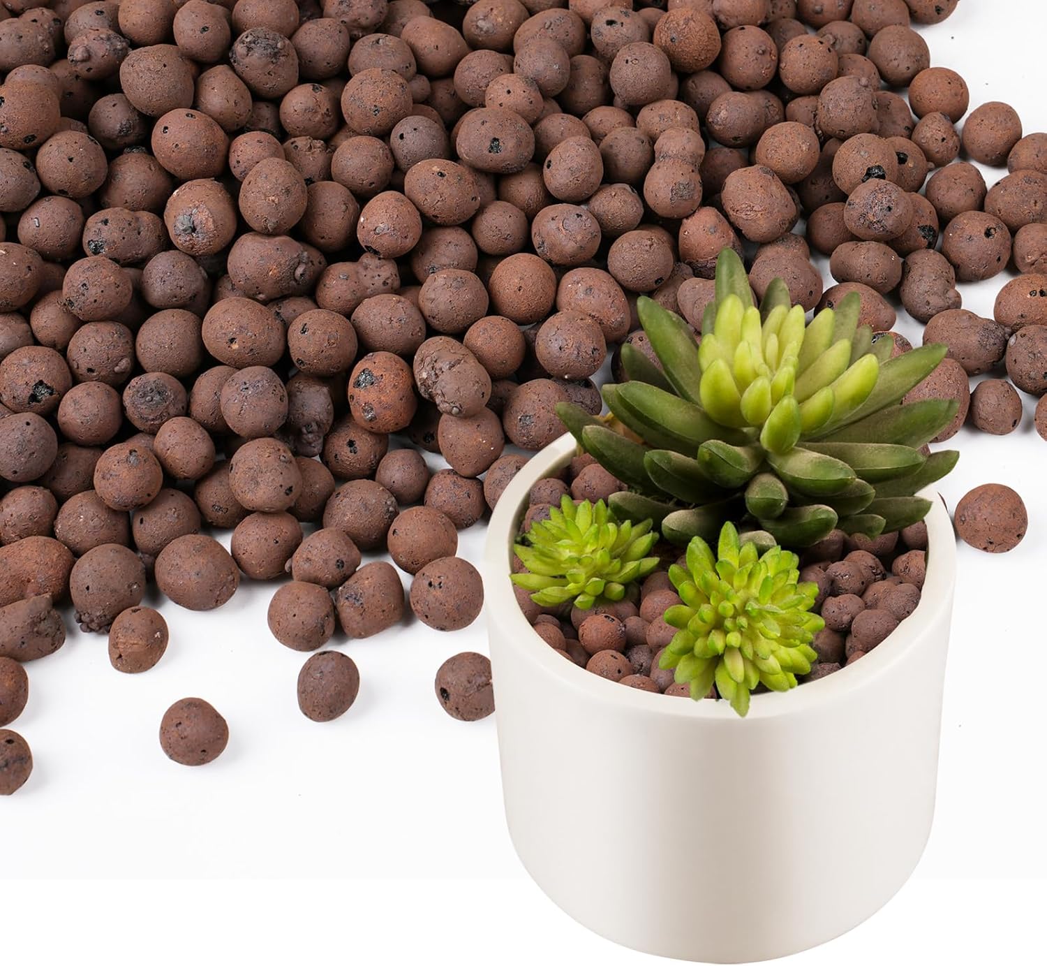 100/200G Clay Pebbles for Plan - Sphagnum Moss Bag review and price