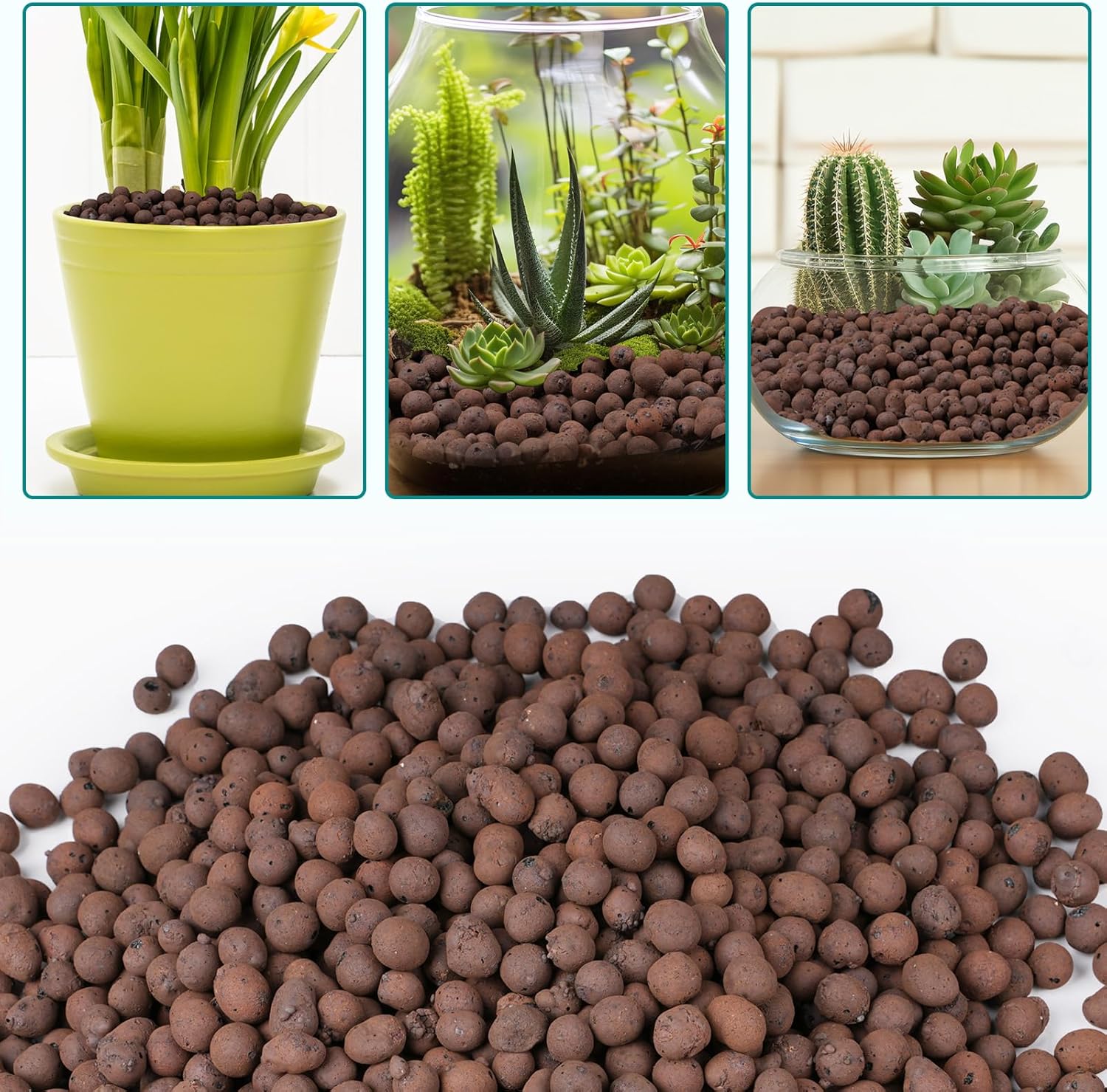 100/200G Clay Pebbles for Plan - Sphagnum Moss Bag review and price