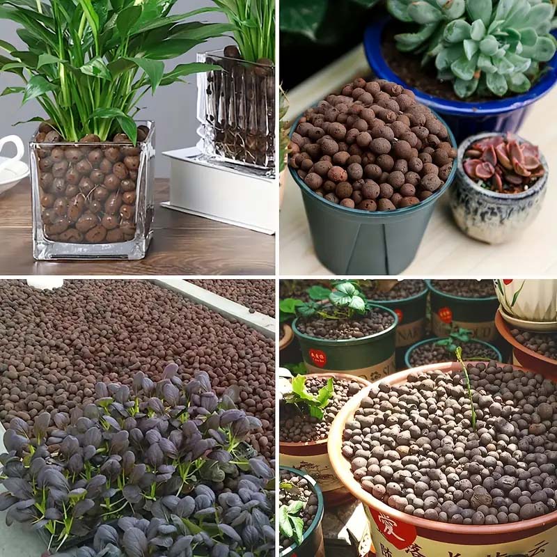 100/200G Clay Pebbles for Plan - Sphagnum Moss Bag review and price