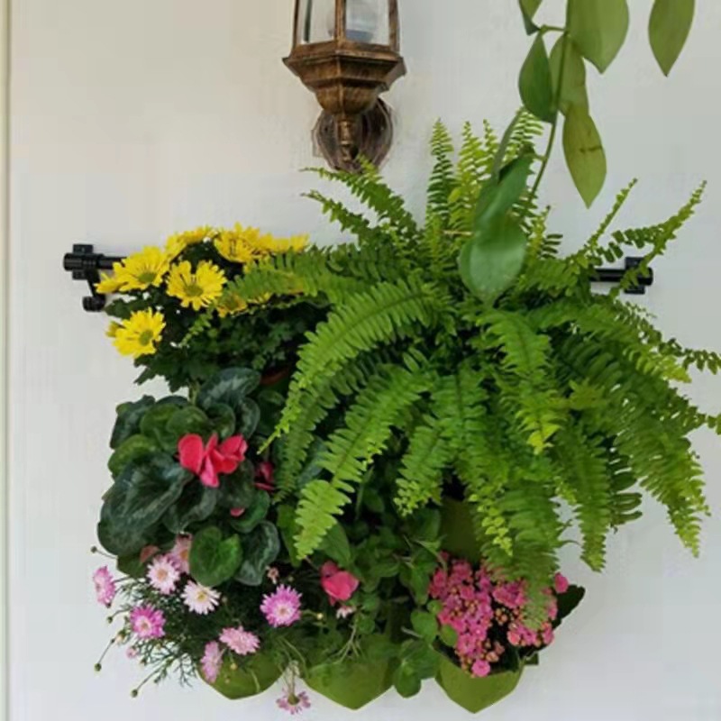 Wall Hanging Planting Bag Mult - Bonsai Vertical Garden review and price