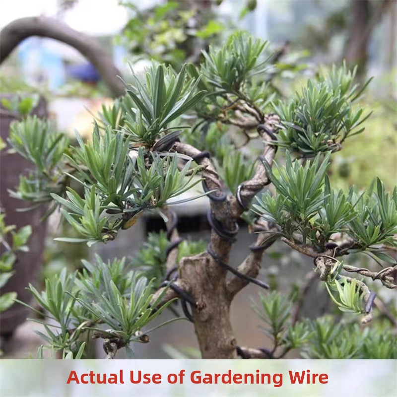 1.5MM Bonsai Wires Aluminum Bo - Bonsai Wire Aluminum review and price