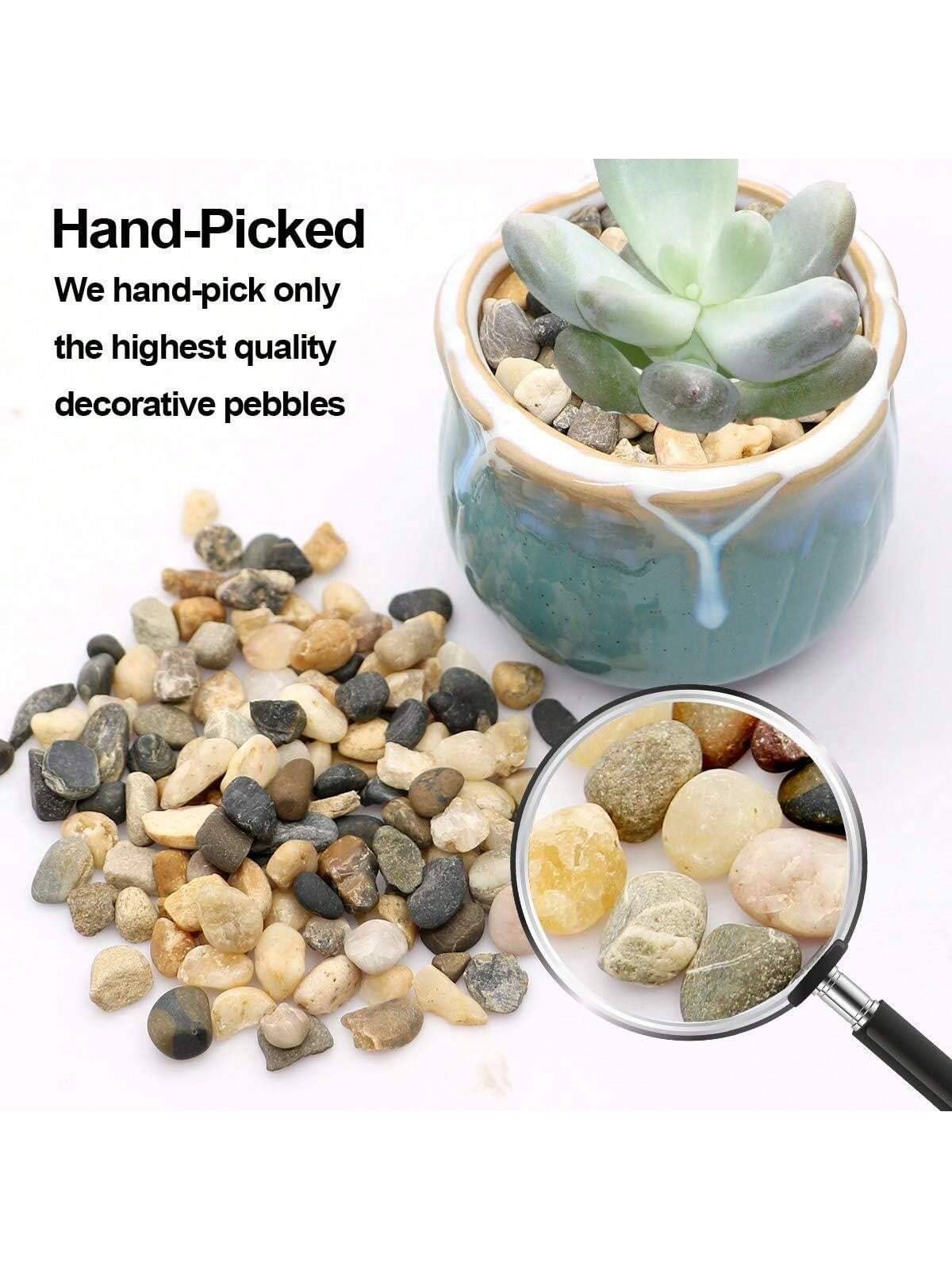 River Rocks Stones Natural Dec - Sphagnum Moss Bag review and price