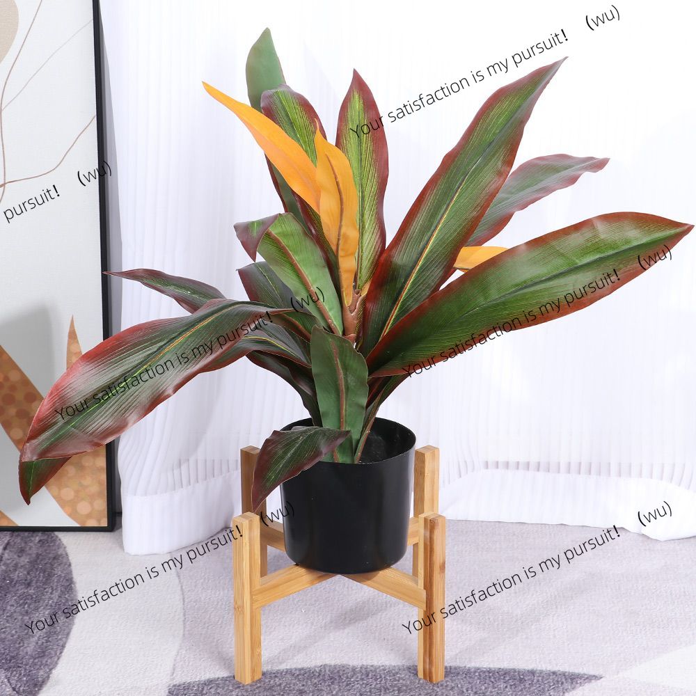 Wooden vertical bonsai display - Bonsai Vertical Garden review and price