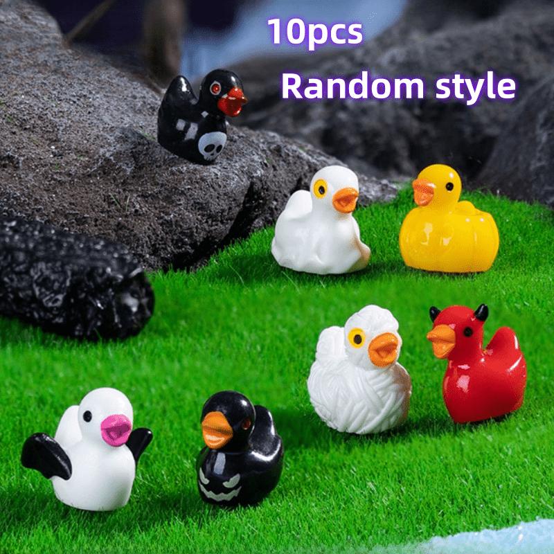 10 Pieces of Miniature Duck St - Bonsai Gardenia review and price