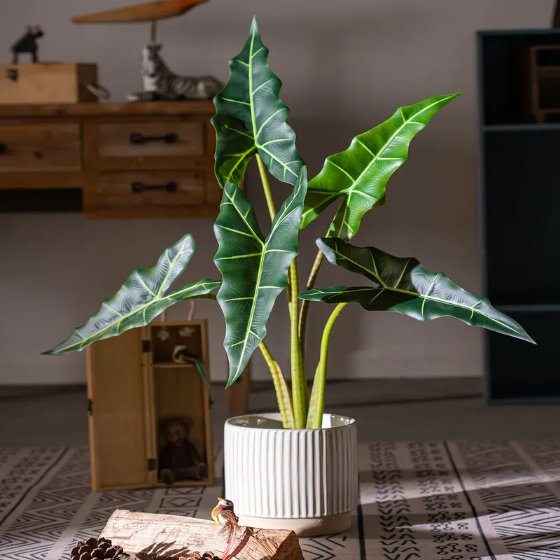 Hot Sale Small Bonsai Simulati - Bonsai Garden For Sale review and price