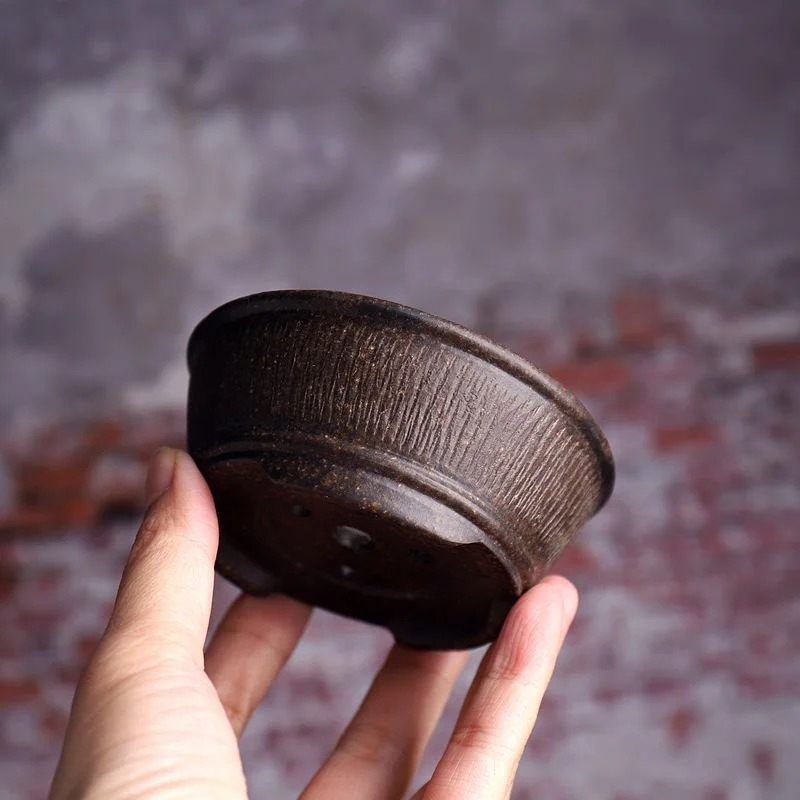 Ceramic Circle Bowl Bonsai Pot - Bonsai Vertical Garden review and price