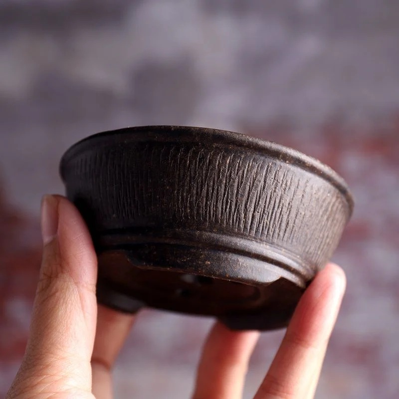 Ceramic Circle Bowl Bonsai Pot - Bonsai Vertical Garden review and price