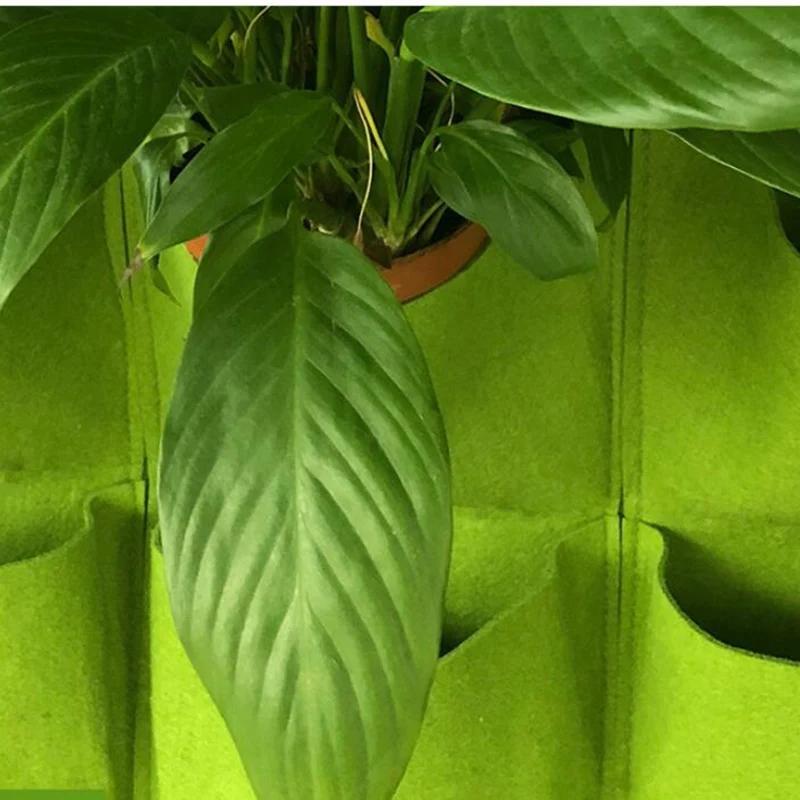 Wall Hanging Planting Bag Mult - Bonsai Vertical Garden review and price