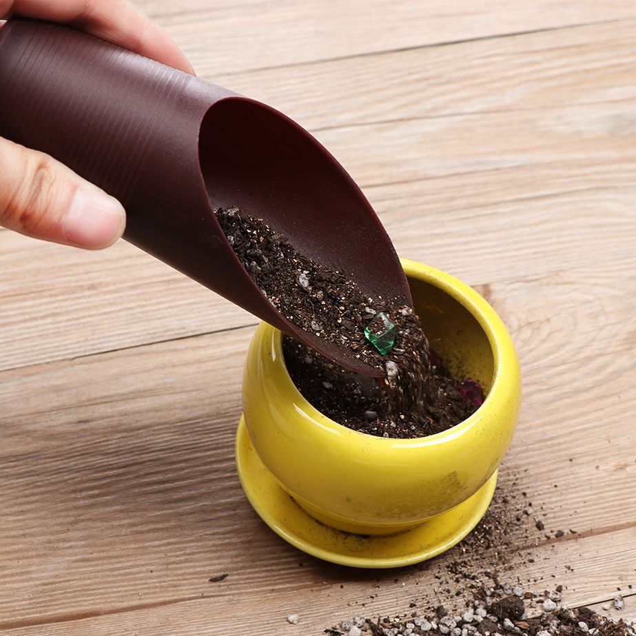 1PC Plastic Soil Shovel Cup Fo - Bonsai Gardenia review and price