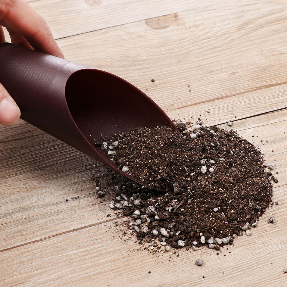 1PC Plastic Soil Shovel Cup Fo - Bonsai Gardenia review and price
