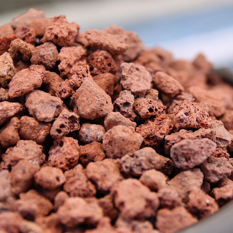 500g/1000g Red Volcanic Rock S - Sphagnum Moss Bag review and price