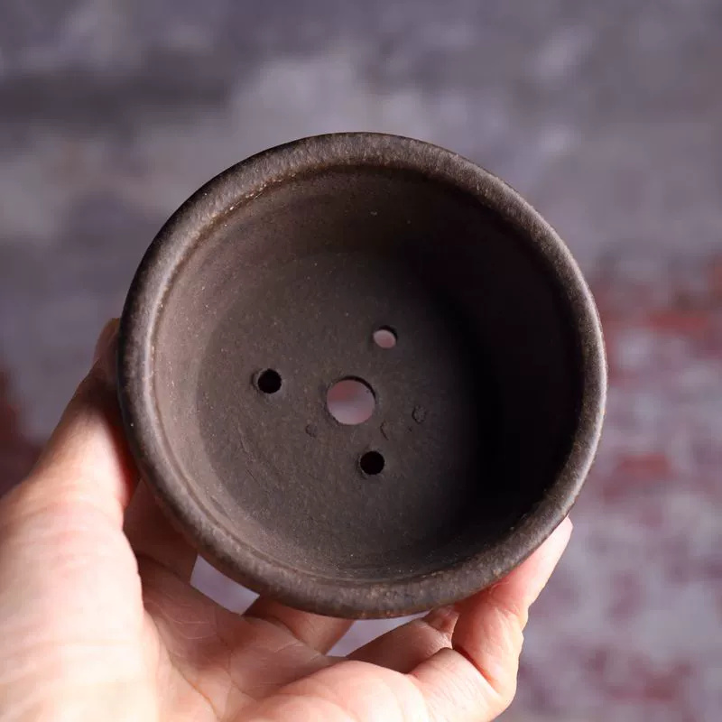 Ceramic Circle Bowl Bonsai Pot - Bonsai Vertical Garden review and price